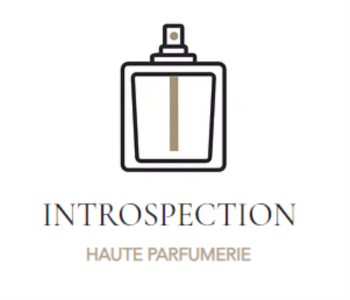 Logo Introspection Sàrl