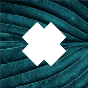 Logo MAIN Experience