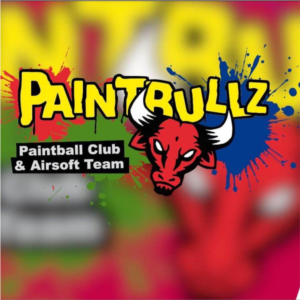 Logo PaintBullz 