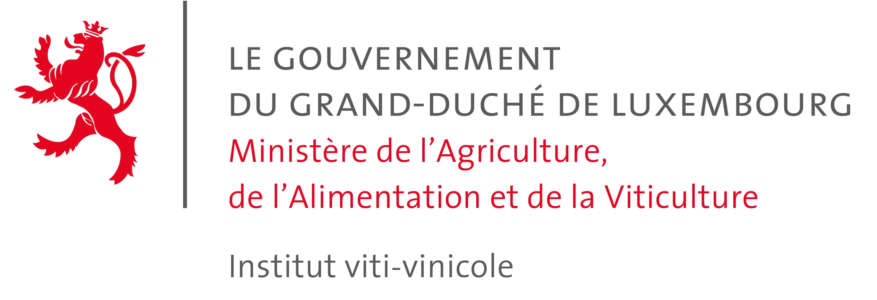 Institut Viti-Vinicole