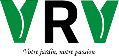 Logo VRV Services