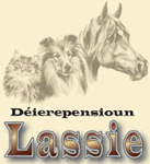 Lassie (Déierepensioun)