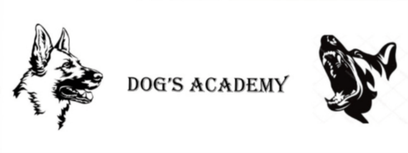 Logo Dog's Academy SARLS