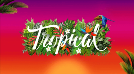 Logo The Tropical Bar