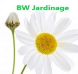 BW Jardinage Sàrl