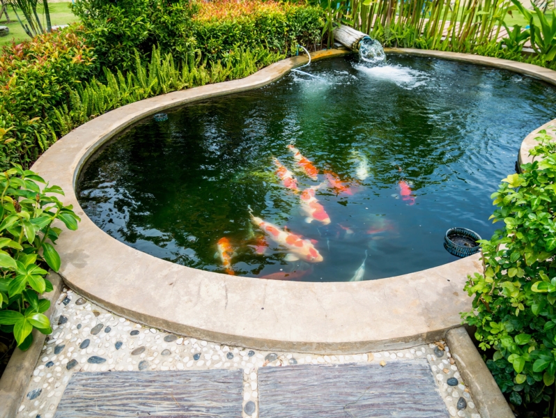 créer bassin jardin