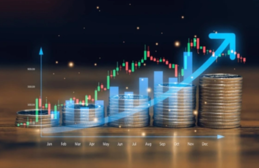 Accompagnement sur mesure pour vos investissements 