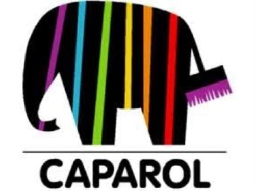 Peinture CAPAROL