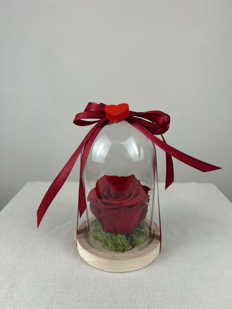 Cloches 