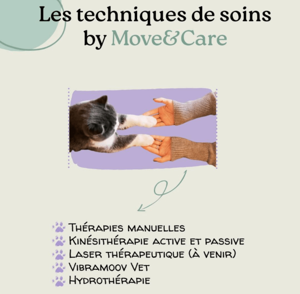 Les techniques de soins by Move&Care 