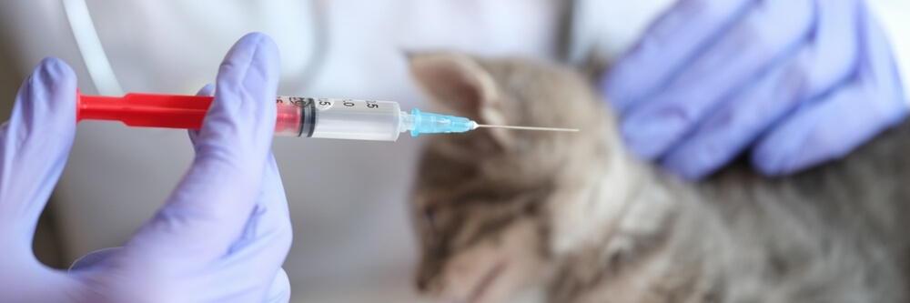  Médecine préventive