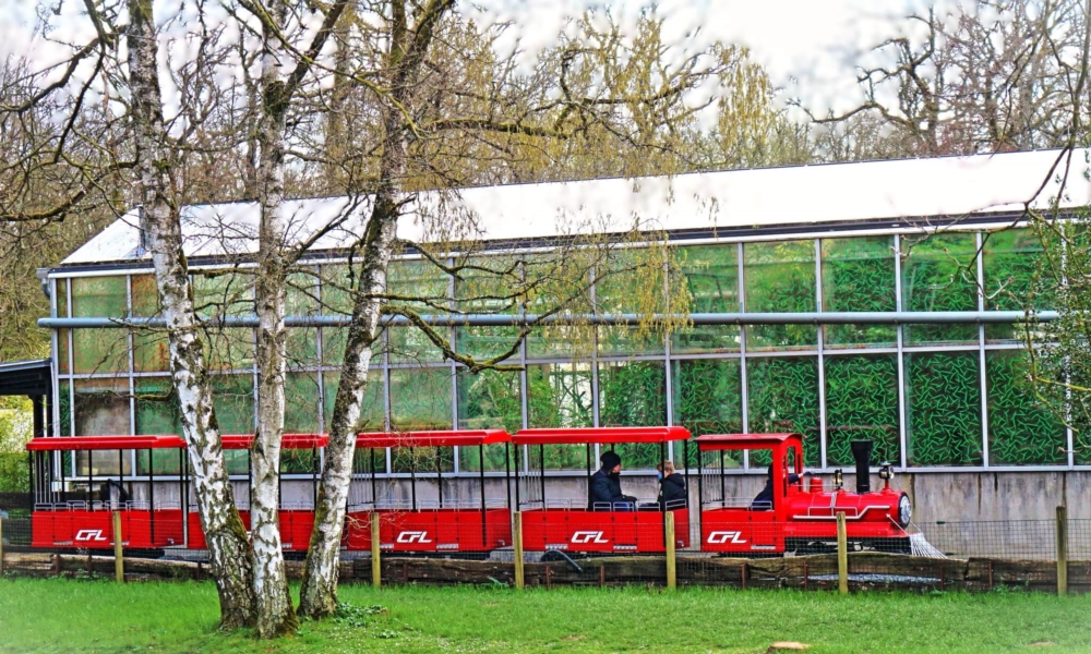 Manèges et attractions