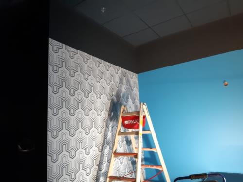 Chantier boutique Orange - Cactus Howald