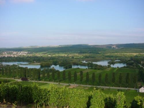 Développement durable et énergie