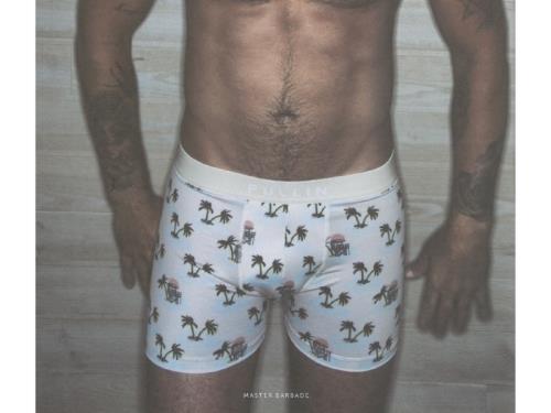 Boxer Pullin