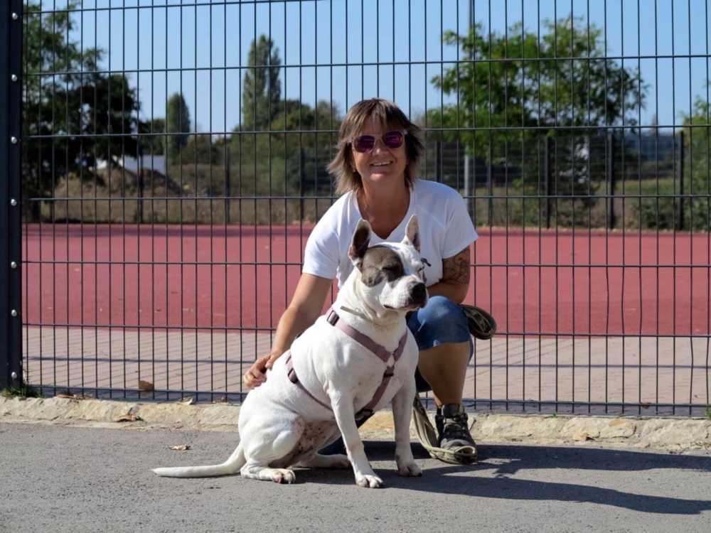 Mit einem Hund spazieren gehen