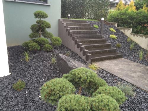 Bonsai et jardins de pierres 