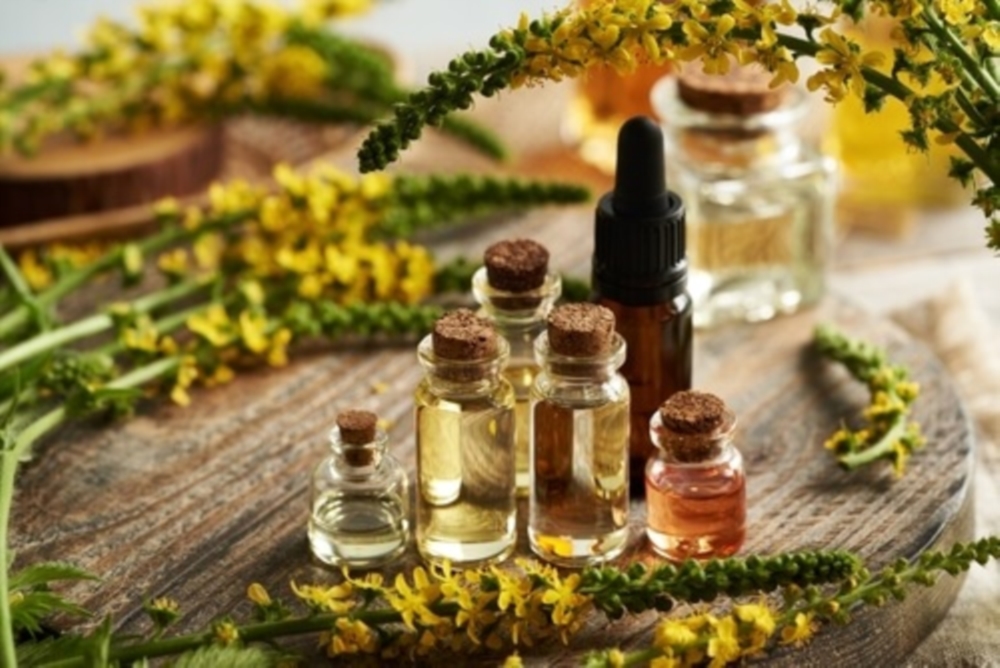 Consultation en Naturopathie