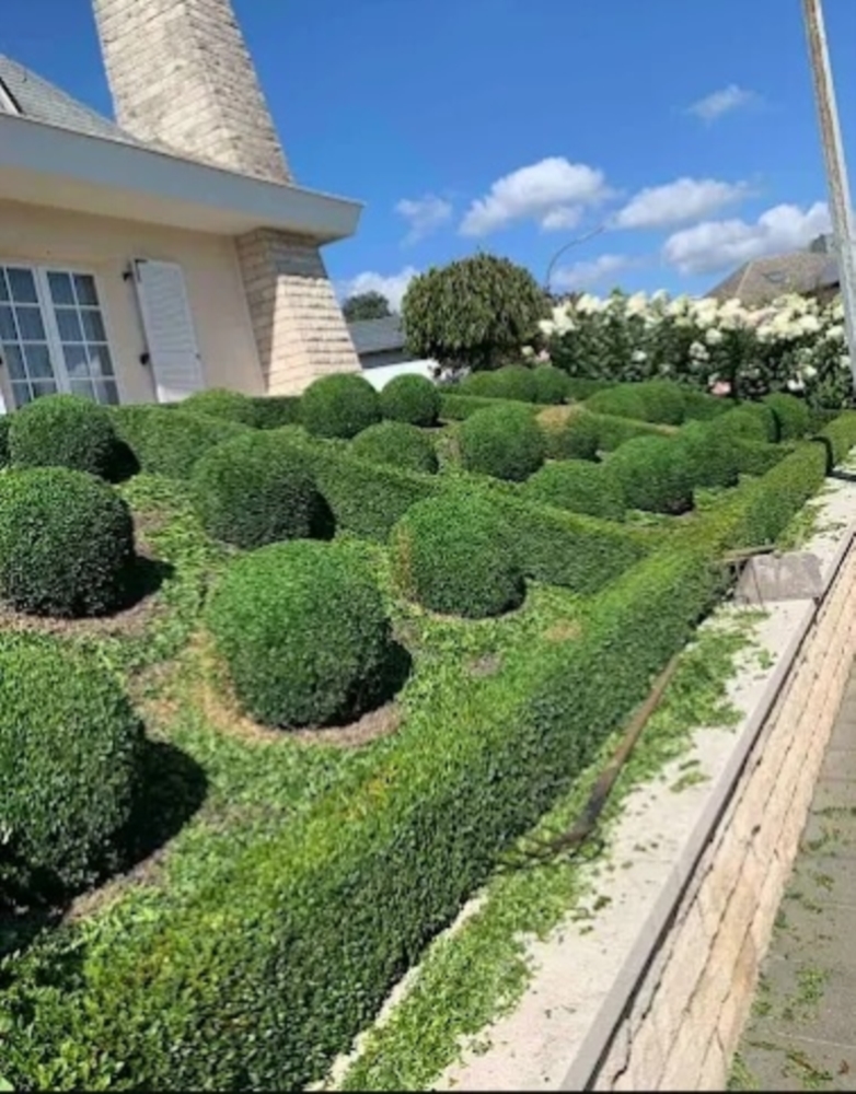 Entretien de jardins et espaces verts