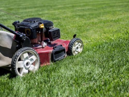 Espaces verts et entretien des extérieurs