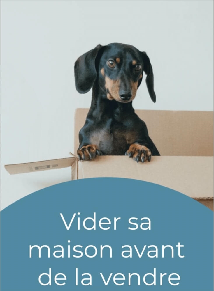 Service Vide-maison