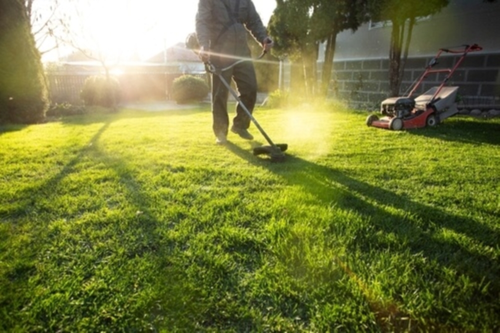 Entretien de Jardins et Espaces Verts