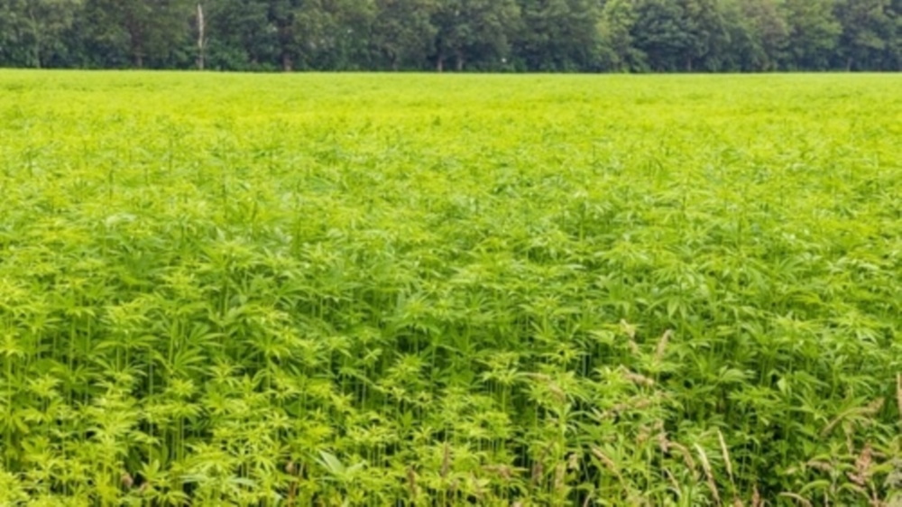 Découverte & Sensibilisation