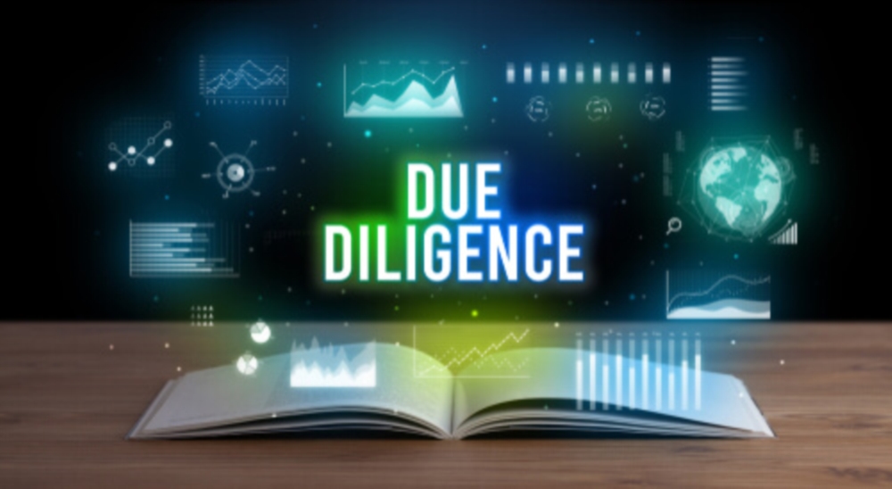 Due Diligence 