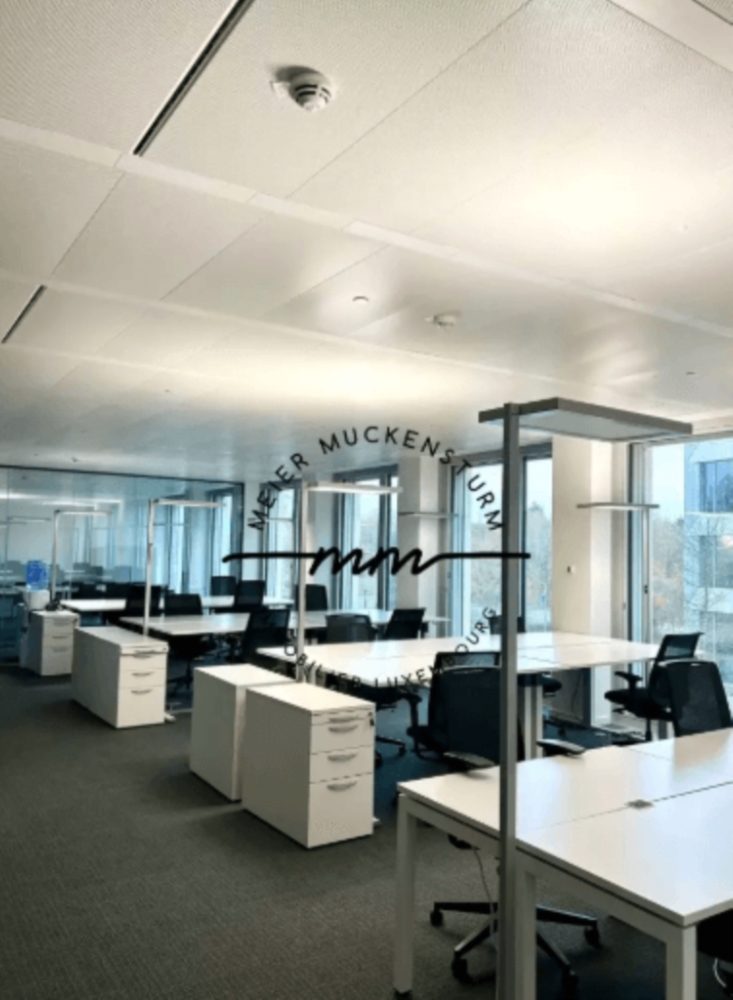 Location immobilière