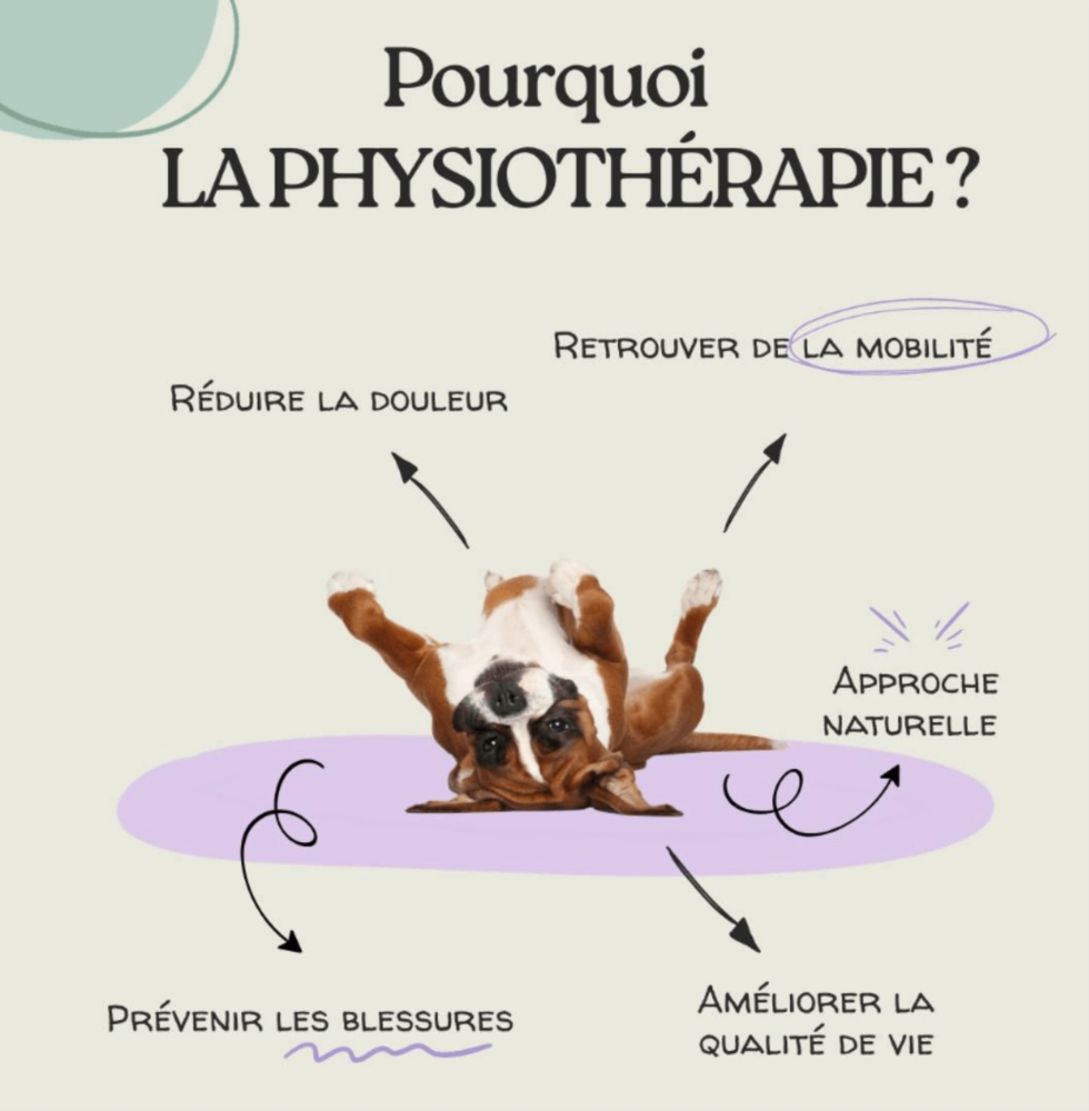 Pourquoi la physiothérapie ? 