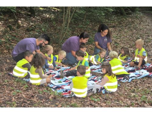 Nos activités dans les bois