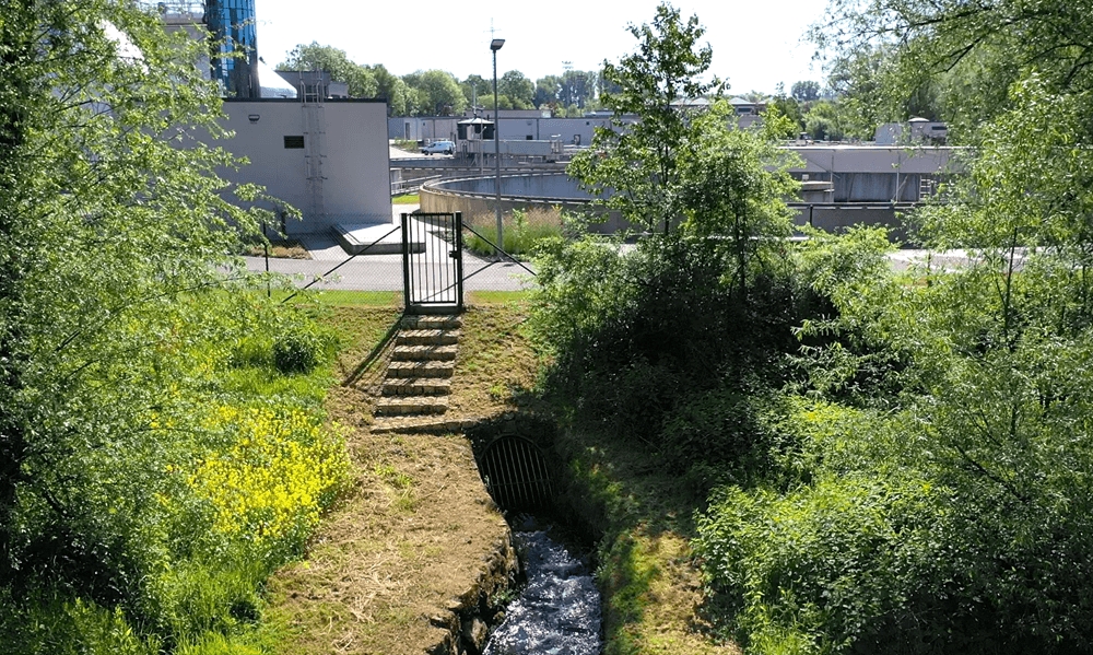 Sortie des eaux épurées