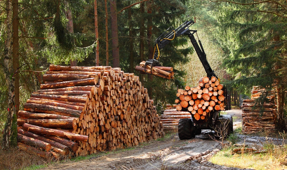  Working with logs
