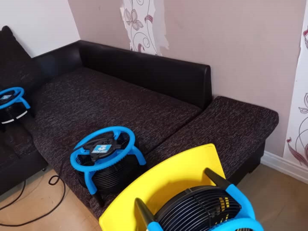 Votre moquette manque d’éclat ?