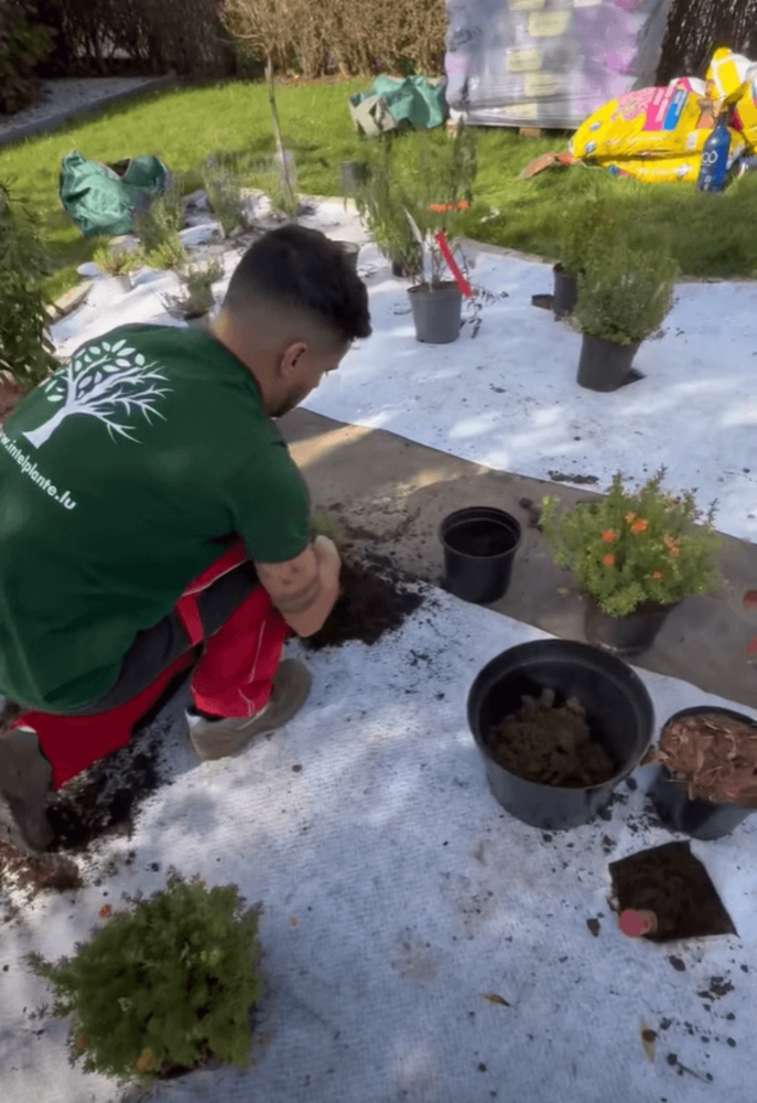 Aménagement & entretien paysager