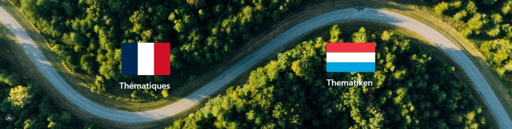 Accompagnement de processus