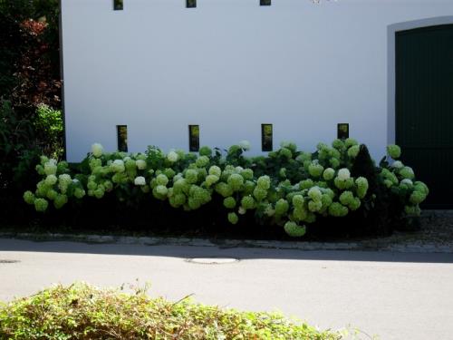 Création, aménagement de jardin