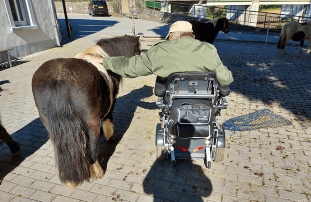 Le Pony Express chez vous!
