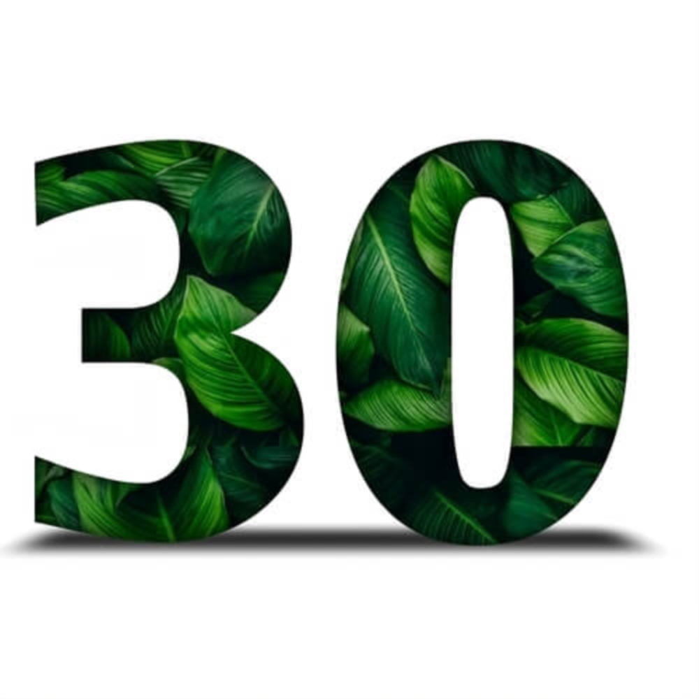 30 ans d’expérience au service de vos sols