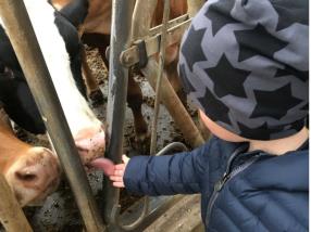 Découverte des animaux