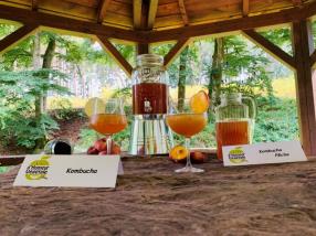 Kombucha
