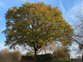 Däi perséinlecht Gläichgewiicht fannen
