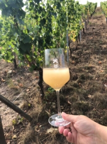 Dégustations