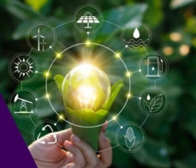 La responsabilité sociale des entreprises