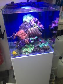 Aquarium 91 Litres