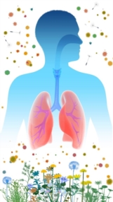 Allergies respiratoires