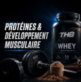 Protéines & Développement Musculaire
