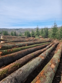 Conseil et accompagnement sur mesure