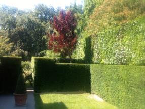 Création, aménagement de jardin 