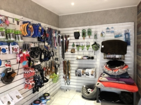 Accessoires pour chiens et chats